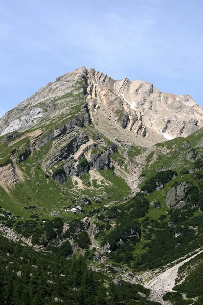 Альпы, Австрия — стоковое фото