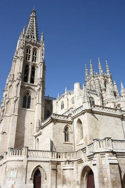 Καθεδρικό ναό του Burgos — Φωτογραφία Αρχείου