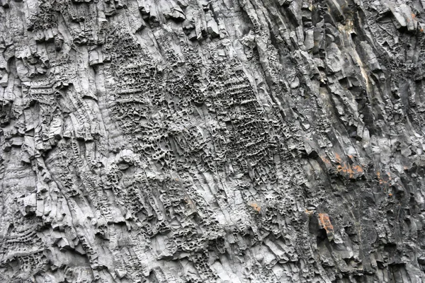 현무암 벽 — 스톡 사진