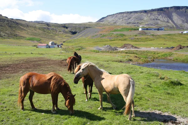 IJsland — Stockfoto