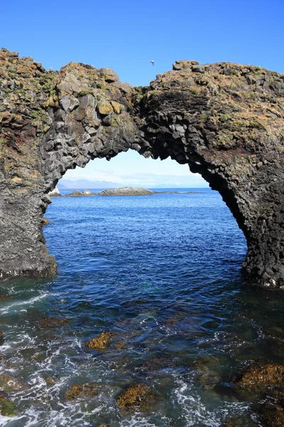 Coast in Iceland — Stock Photo, Image