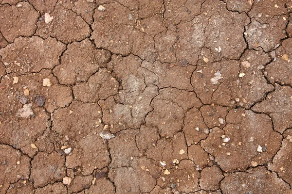 干燥裂纹的泥 — 图库照片