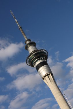 Auckland Sky Tower clipart