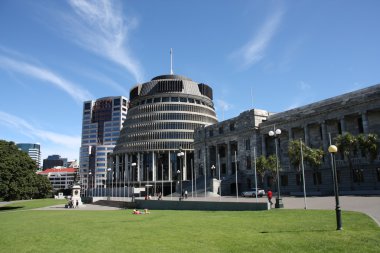 New Zealand parliament clipart