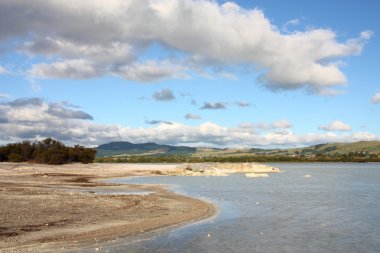 Yeni Zelanda