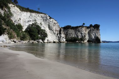 Yeni Zelanda