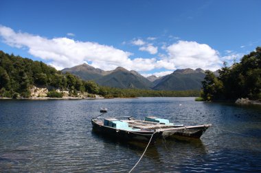 Lake in New Zealand clipart