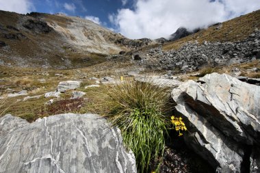 remarkables