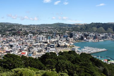 Wellington clipart