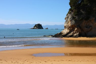 Yeni Zelanda beach