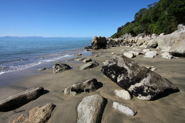 新西兰海滩 — 图库照片