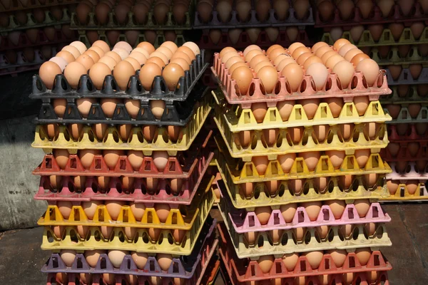 stock image Eggs