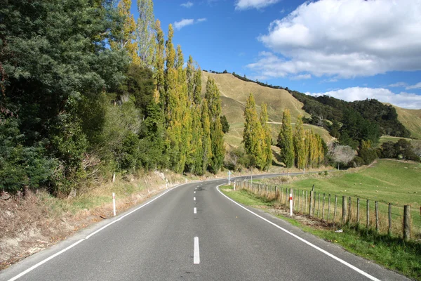 Estrada rural na Nova Zelândia — Fotografia de Stock
