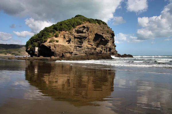 New Zealand beach — Stock Photo, Image