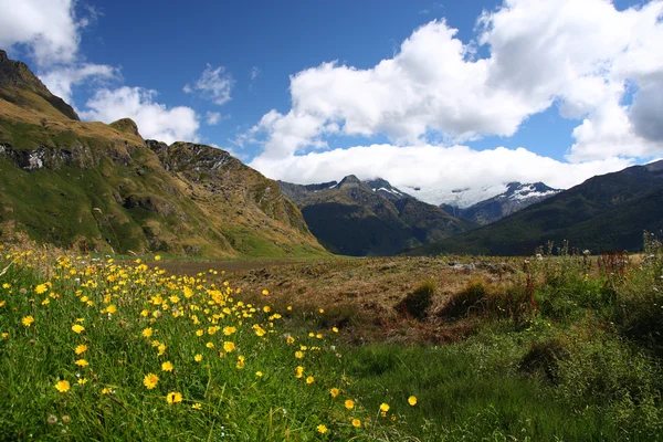 Nationaal park in Nieuw-Zeeland — Stockfoto
