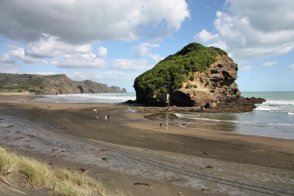 Nouvelle-Zélande - Île du Nord — Photo