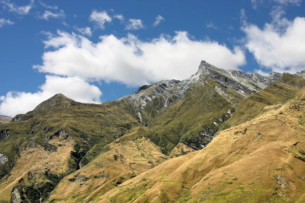 Национальный парк Новой Зеландии — стоковое фото
