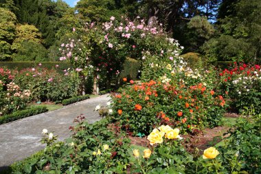 Botanic garden clipart