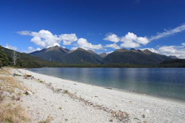 Yeni Zelanda