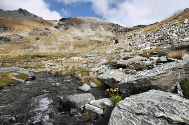 Yeni Zelanda