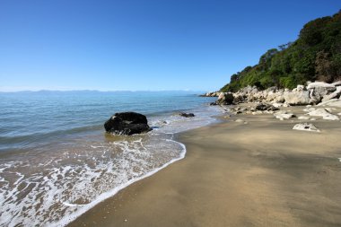 Yeni Zelanda beach