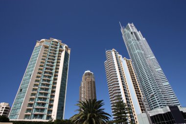 Huge skyscrapers in Surfers Paradise city in Gold Coast, Queensland, Australia clipart