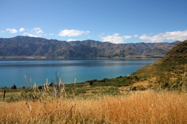 Yeni Zelanda. Lake hawea. Otago bölgesinde peyzaj.