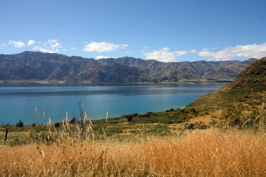 New Zealand. Lake Hawea. Otago district landscape. clipart