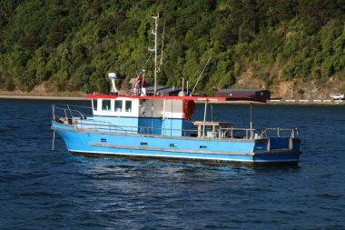 south Island, Yeni Zelanda Marlborough bölgede harbored balıkçı teknesi