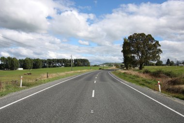 Yeni Zelanda'da yol