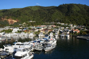 picton, Yeni Zelanda townscape. ünlü liman kenti. Yat marina.