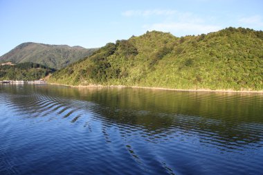 Queen Charlotte Sound - famous scenic tourism destination in Marlborough region of New Zealand. Fiord bay. clipart