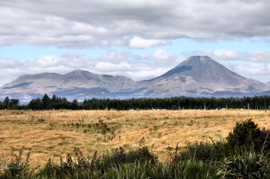 Volcano in New Zealand