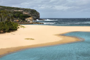 Royal national park, yeni Güney Galler, Avustralya. wattamolla Plajı.