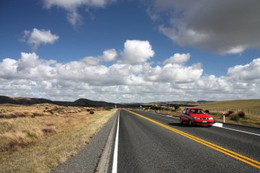 Yeni Zelanda