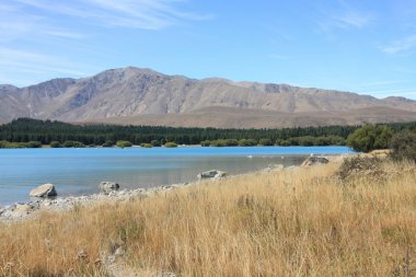 Yeni Zelanda canterbury bölgesinin Lake tekapo peyzaj