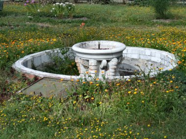 Old fountain without water. Unattended flower garden. clipart