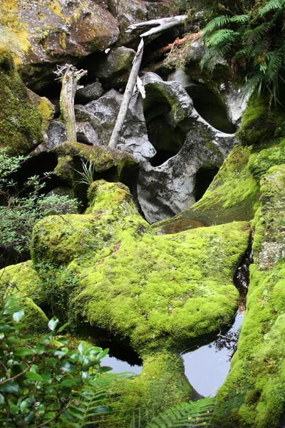 Pedras musgosas — Fotografia de Stock