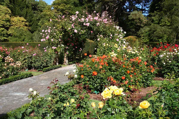 Jardín botánico — Foto de Stock