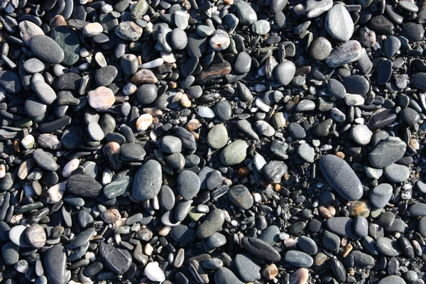 Pebbles resumo — Fotografia de Stock