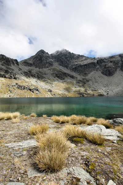 Горы Новой Зеландии — стоковое фото