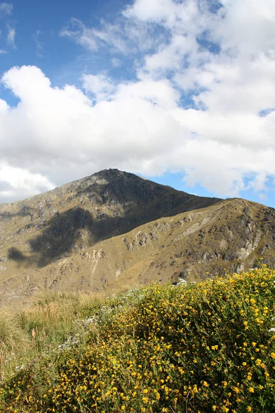 Remarkables Mountains Yellow Flowers New Zealand Otago Region South Island — Stock Photo, Image