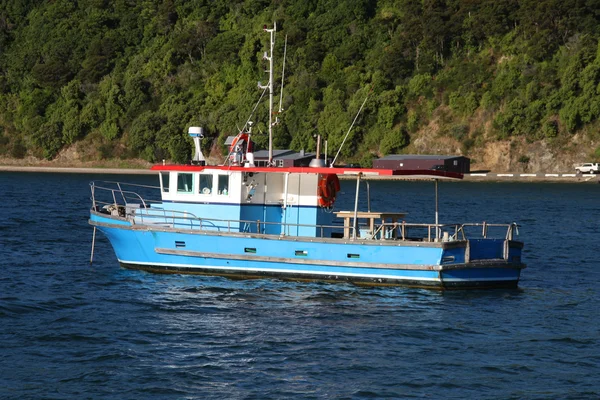 Рыбацкая Лодка Укрытая Регионе Мальборо Южного Острова Новая Зеландия — стоковое фото