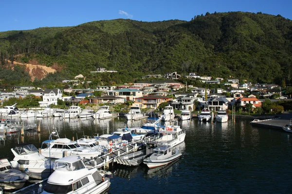 皮克顿 新西兰的城市景观 著名的港口城市 游艇码头 — 图库照片