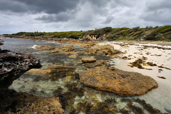 Австралія Джервіс Бей Новому Південному Уельсі Пляж Море — стокове фото