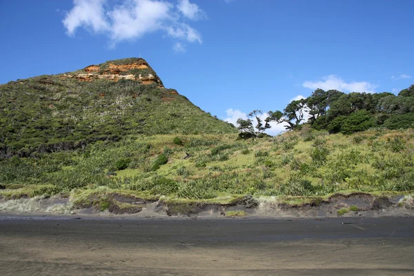 ニュージーランド 黒い砂のビーチ Henga の横にある山 — ストック写真