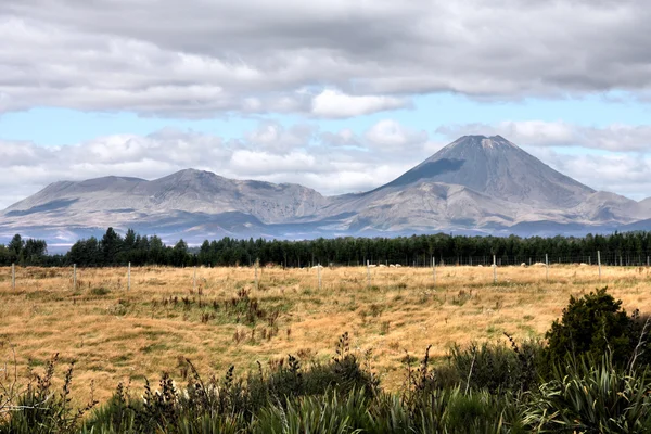 Вулкан в Новій Зеландії — стокове фото