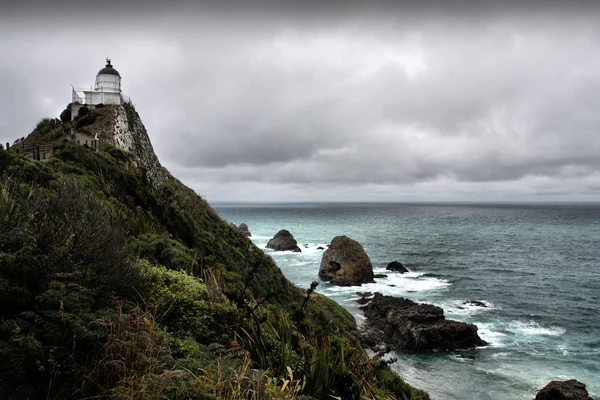 Nugget Point Ikoniska Landformer Regionen Otago Nya Zeeland Regnigt Väder — Stockfoto