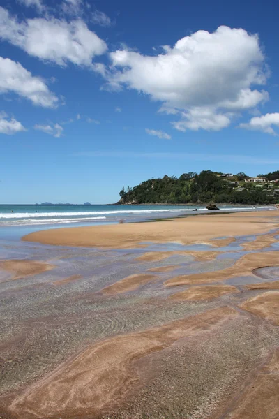 Varmvatten Stranden Coromandel Halvön Nya Zeeland Nordön Sandstrand — Stockfoto