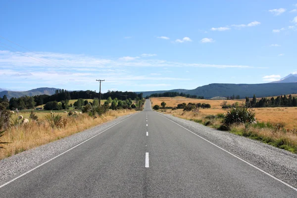 Прямая Дорога Районе Кентербери Новой Зеландии — стоковое фото